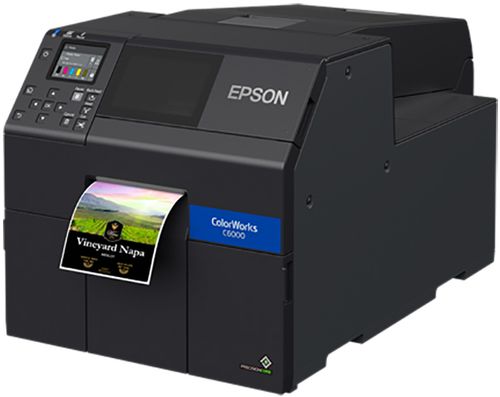 Epson C6010