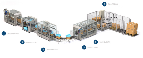 Pattyn Packing Lines