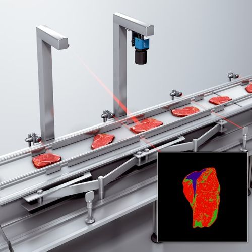 3D in-line inspection camera