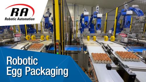 Egg Packing and Palletising Solution
