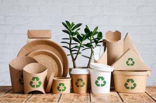 Sustaibale Packaging for a Circular Economy