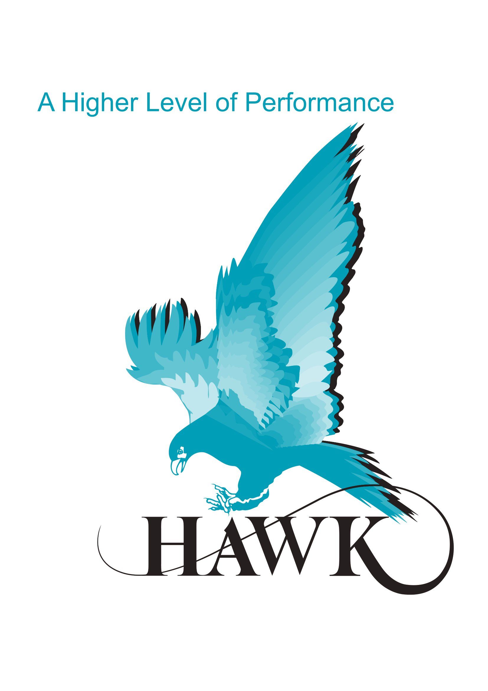 Hawk Measurement Systems