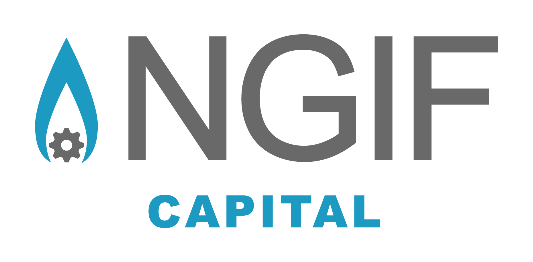 NGIF Cleantech Ventures