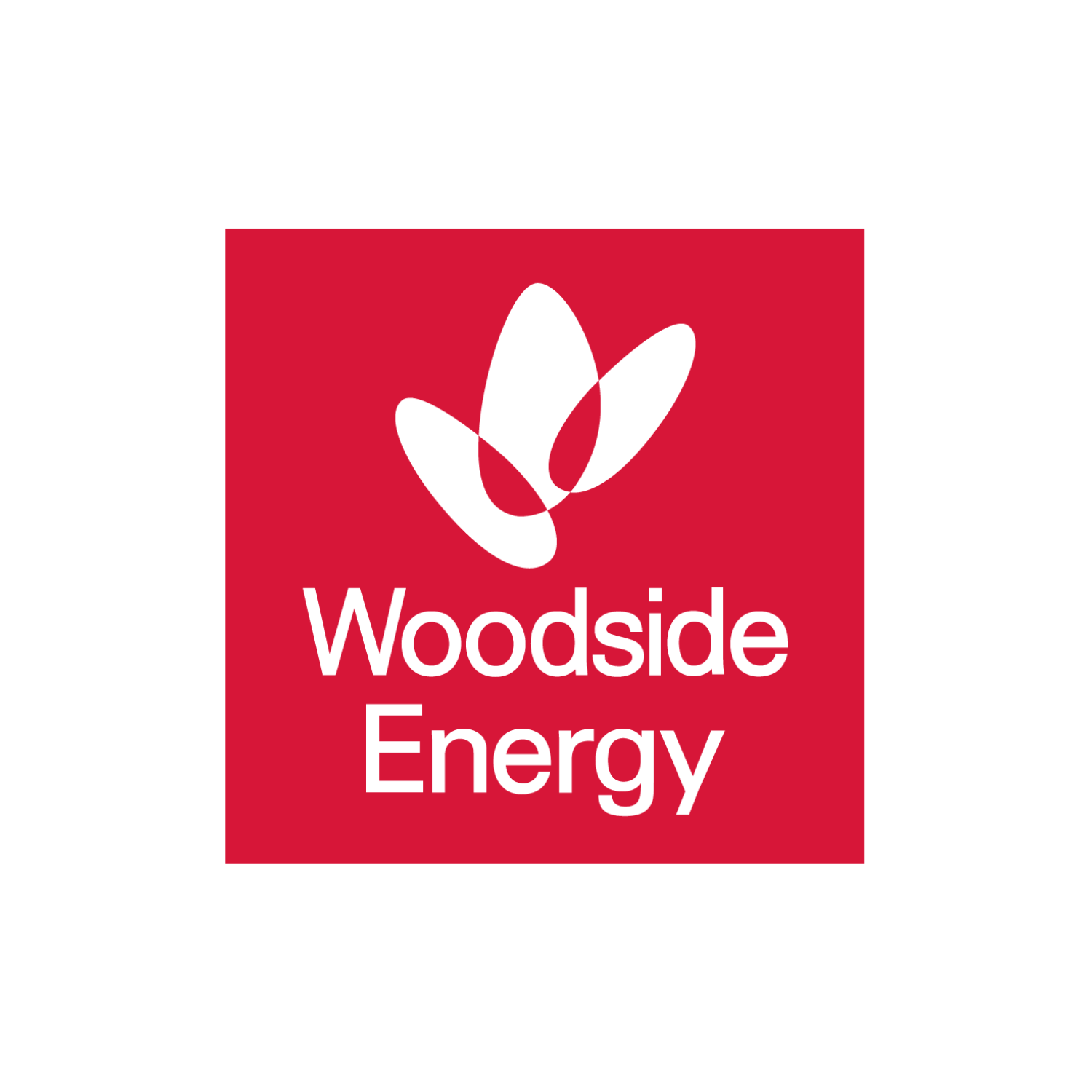 woodside net worth