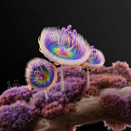 Andrea Philippon - Digital Garden, Fungi Fantasia, and Rewild