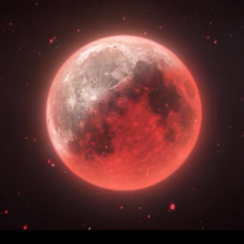 Kelly Richardson - Halo