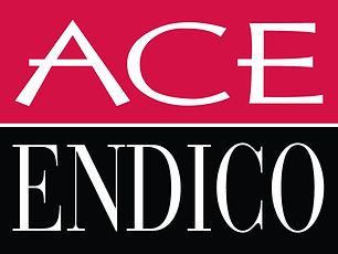 Ace Endico