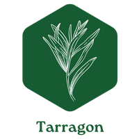 Company name - Tarragon