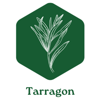 Exhibitor profile image for Tarragon