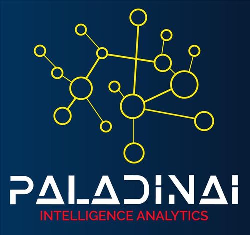 PaladinAi