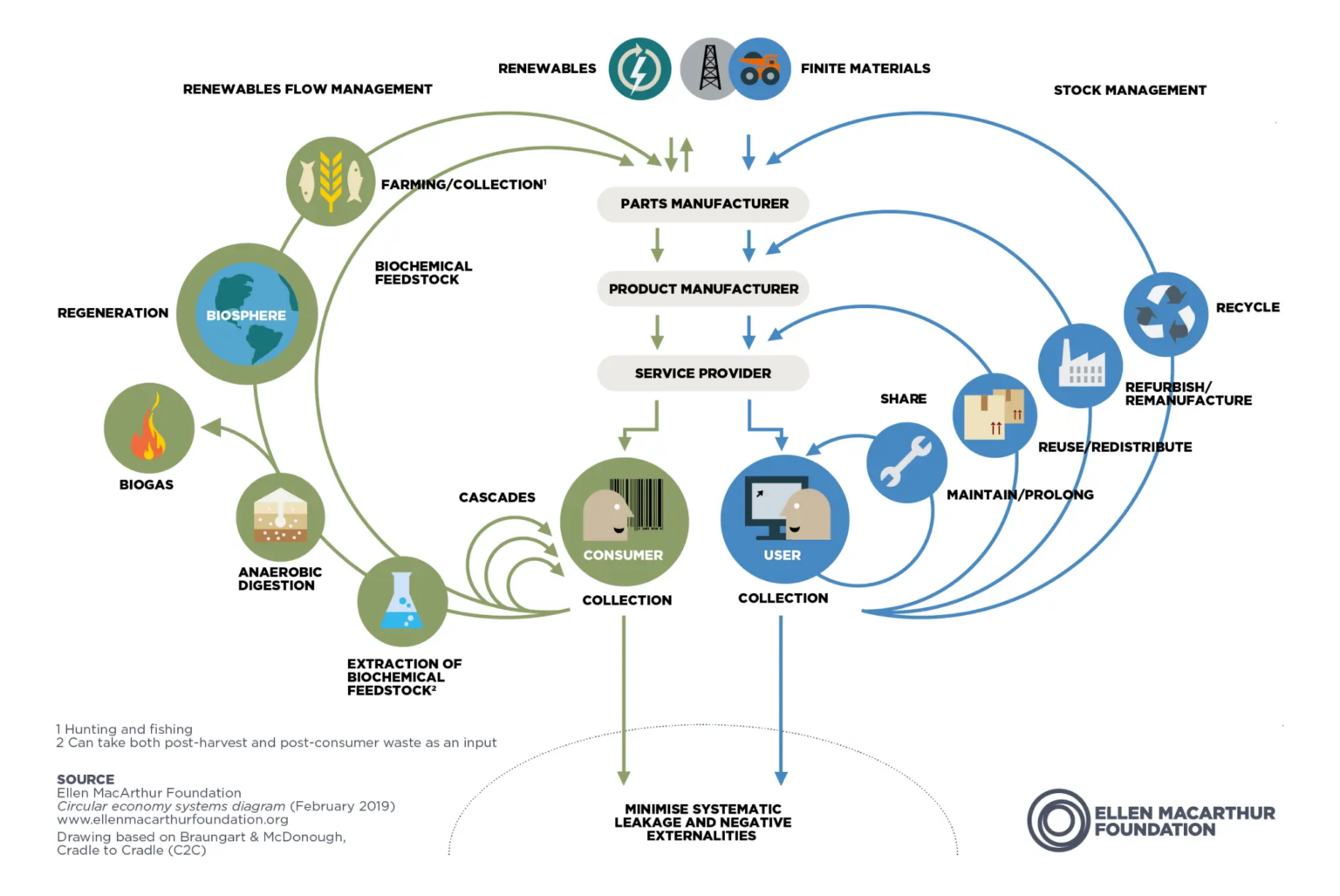 Diagrama da borboleta