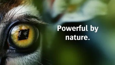 Agfa prepares to ‘unleash the beasts’ at FESPA Global Print Expo 2025 with two new inkjet powerhouses