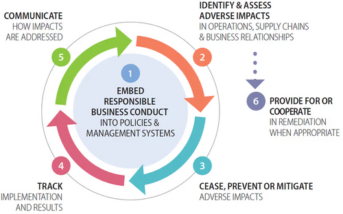 Why Your Business Needs a Due Diligence System