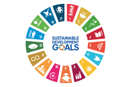 10 Years of Sustainable Development Goals: Successes, Setbacks, and the Path to 2030
