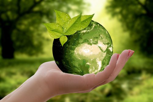Camino a la sostenibilidad: 5 pasos para ser una industria eco-friendly