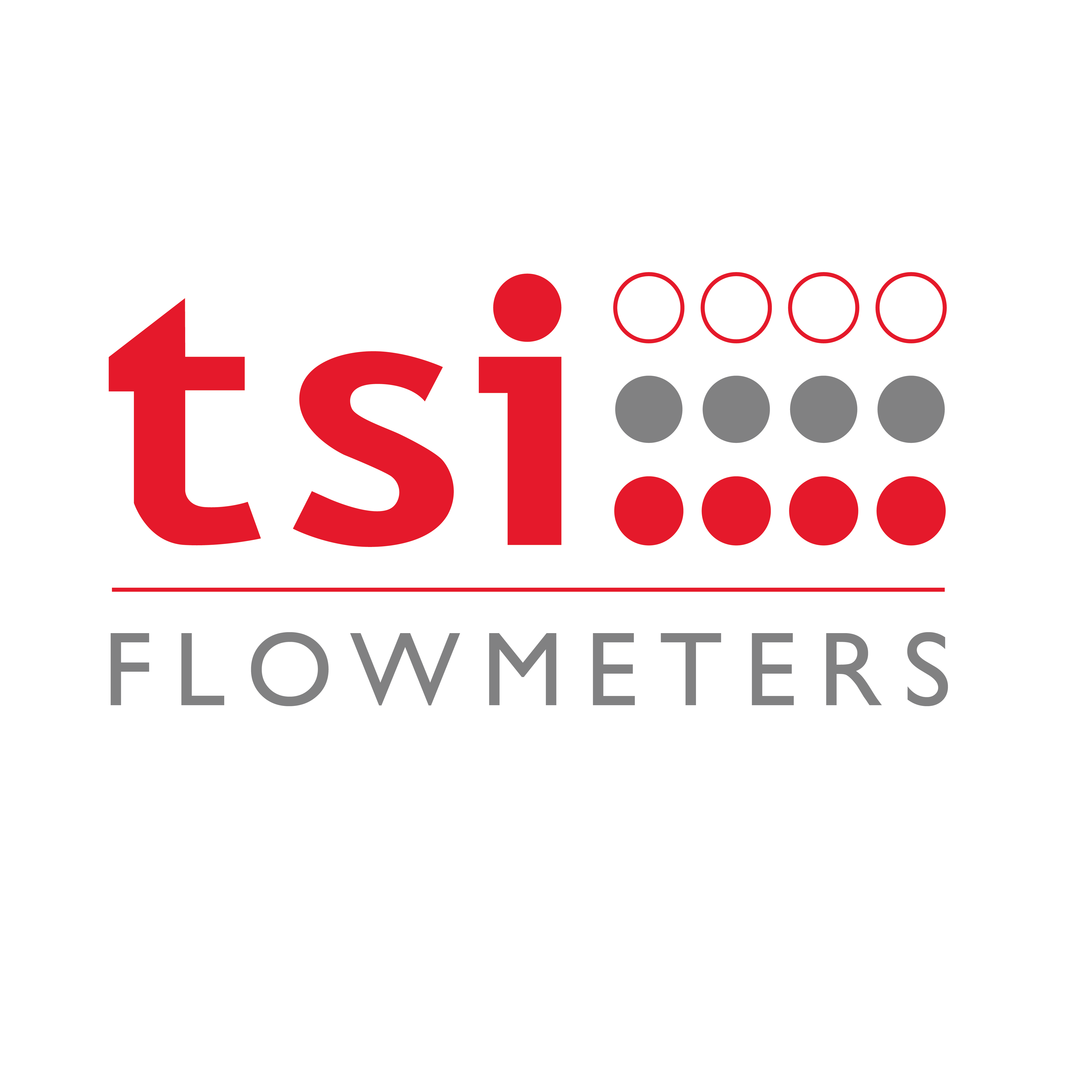 TSI Flowmeters Ltd