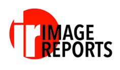 Image Reports
