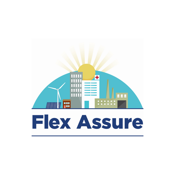 Flex Assure