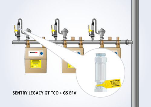 SENTRY Legacy GT TCO + GS EFV