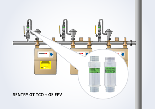 SENTRY GT TCO + GS EFV