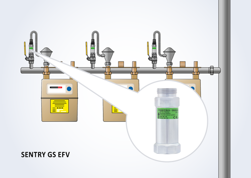 SENTRY GS EFV