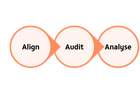 Actionable Insights: Align, Audit, Analyse