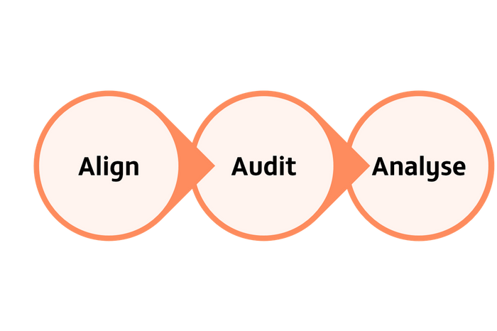 Actionable Insights: Align, Audit, Analyse