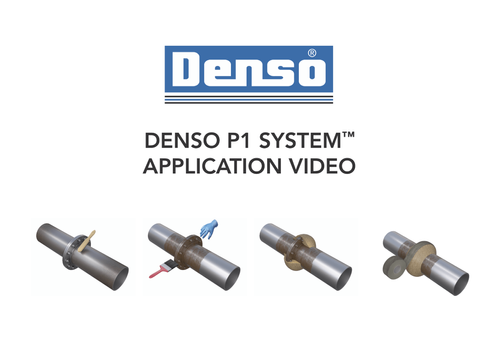 Application of Denso P1 System™