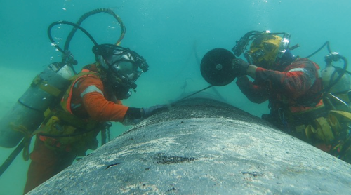 REINFORCEKiT® 4D SUBSEA