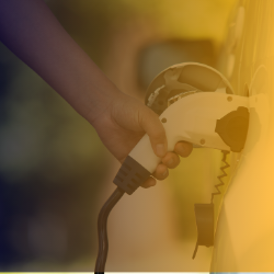19 May AM: Delivering system flexibility and the EV rollout