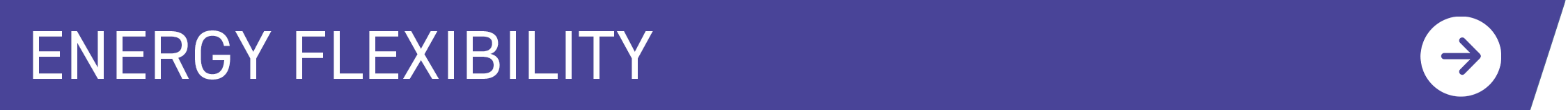 Energy Flexibility at UWL 