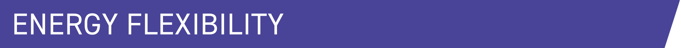 Energy Flex