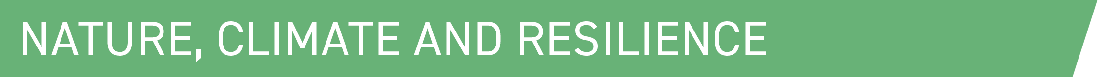 Nature, climate and resilience