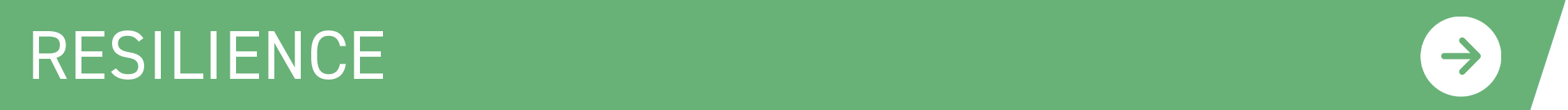 Nature, climate and resilience