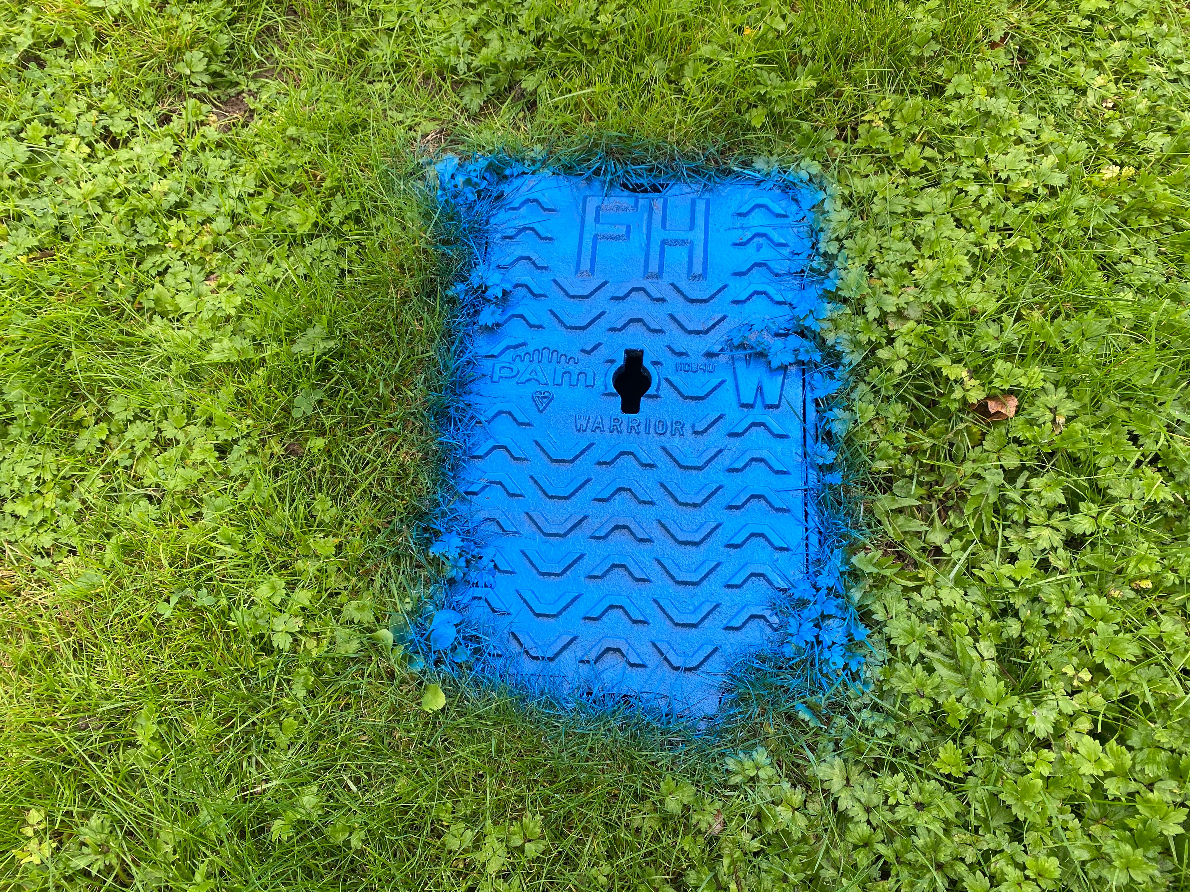 LMP: LINE MARKING PAINT