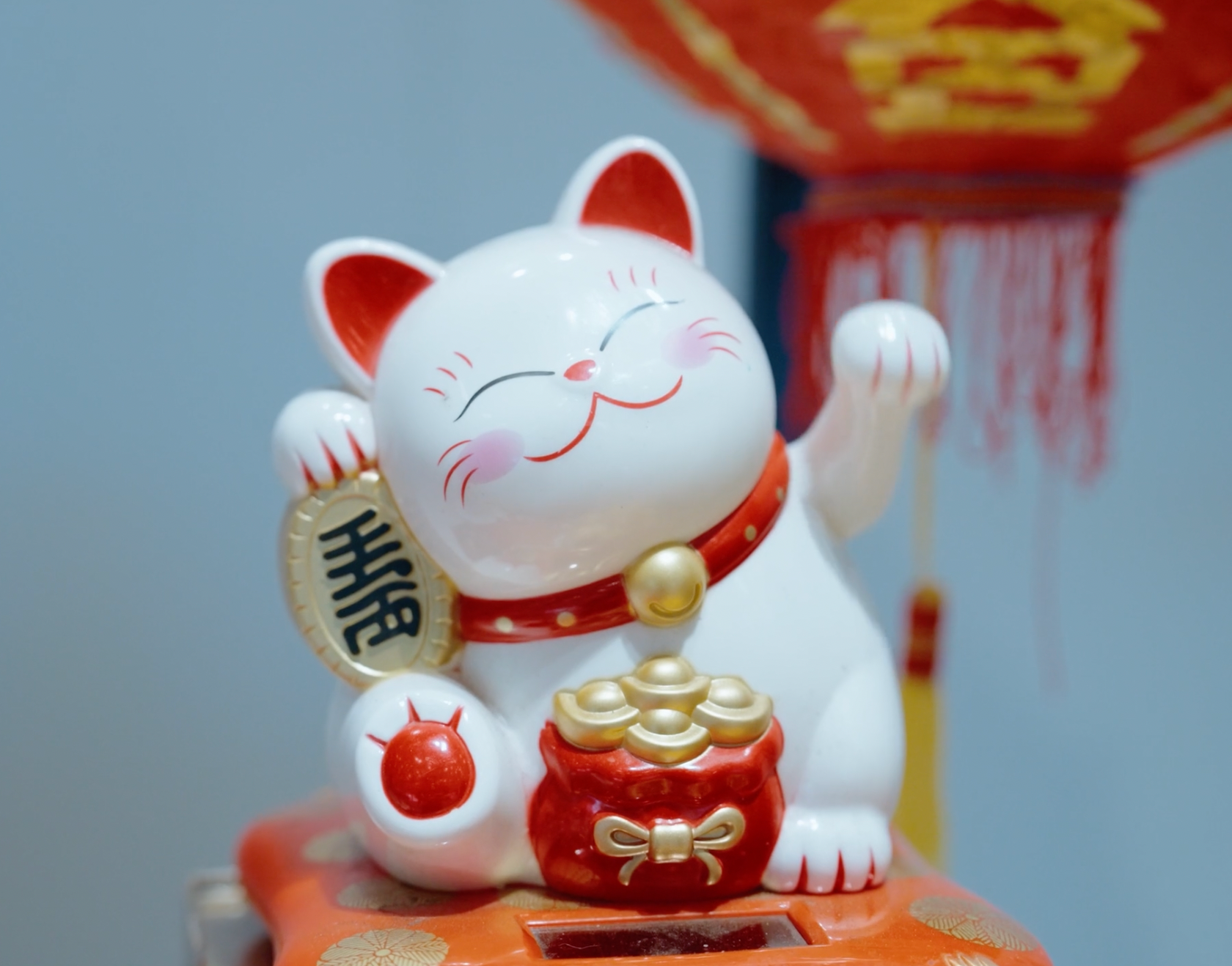 Chinese lucky cat