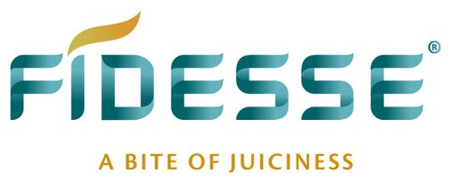 Fidesse logo 