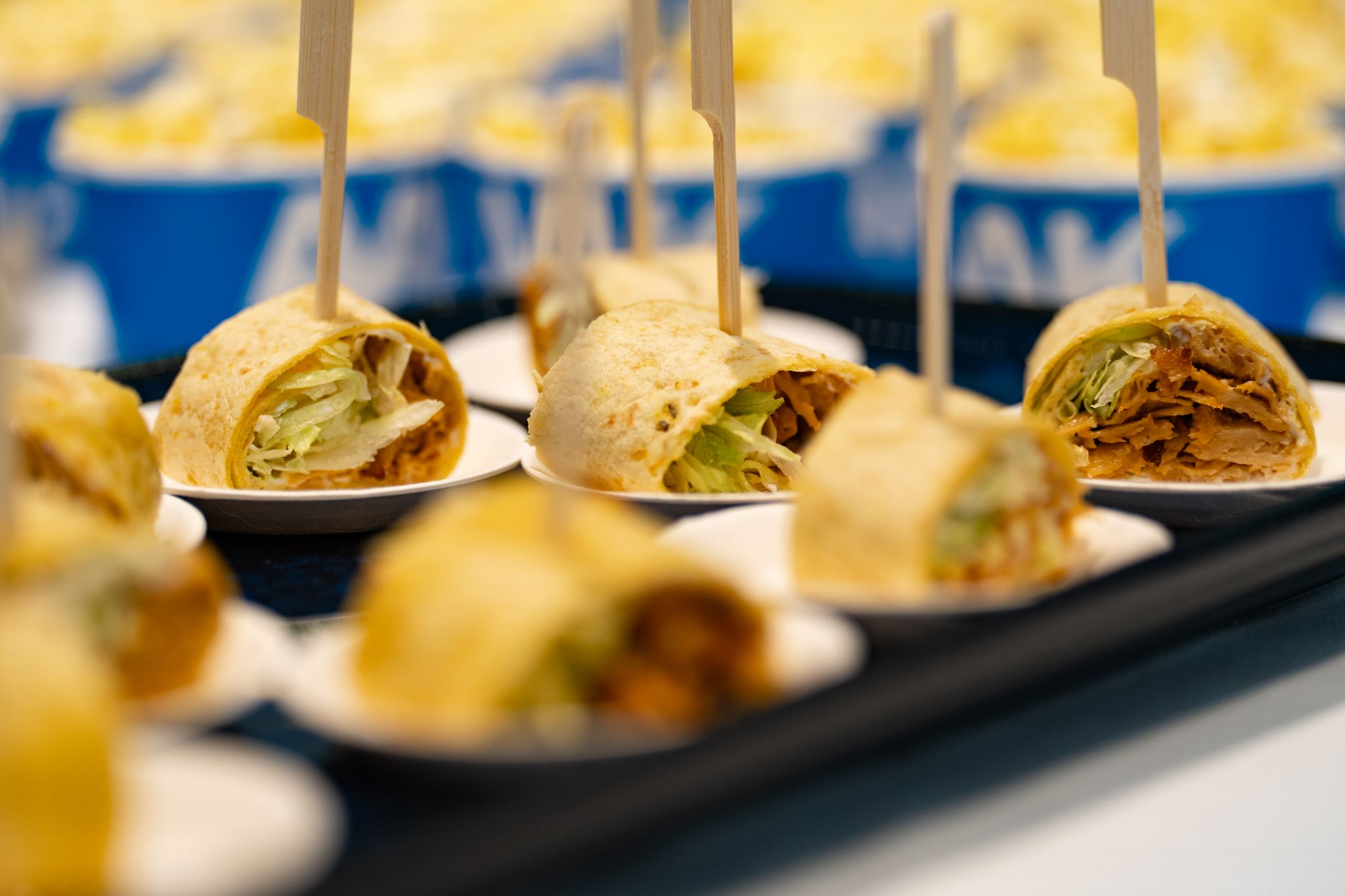 plate of wraps cut into chunks