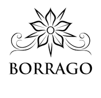 Company name - Borrago