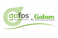 Company name - Galam Group