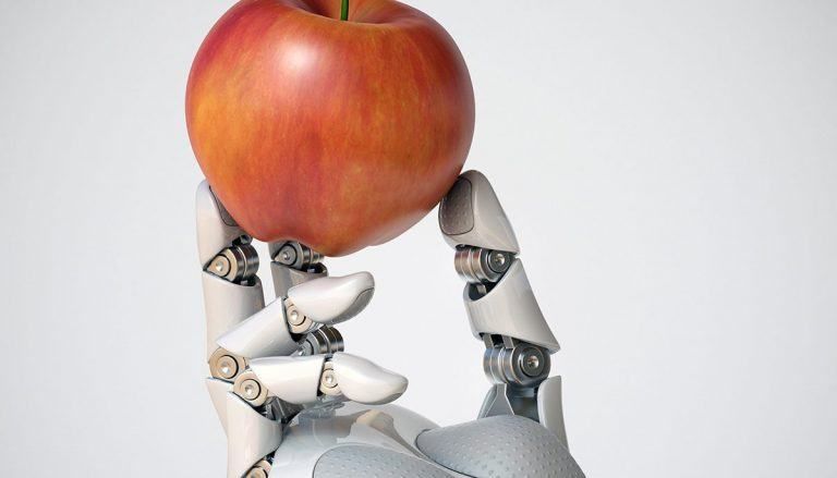 Applied AI: a look at the possibilities AI offers the food industry