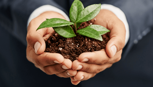 Becoming a sustainable business, and achieving zero carbon