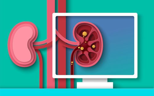 Caring for your kidneys - the crucial role nutrition plays