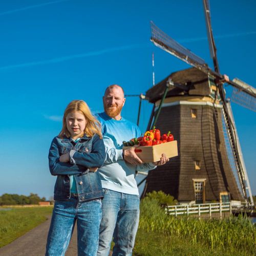Creating a sustainable food system - why all eyes are on the Netherlands