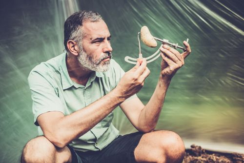 Deep dive: How to overcome the difficulties in creating plant-based cheese and dairy