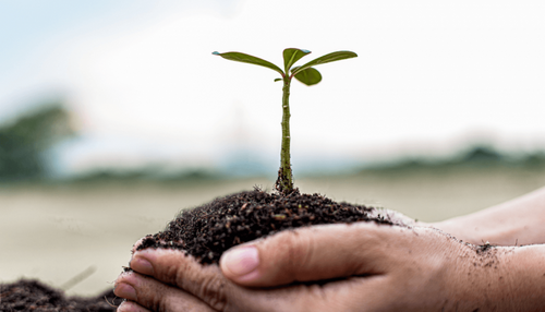 Exploring regenerative farming with HowGood.com