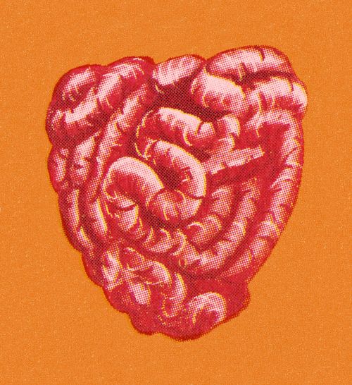 Exploring the link between gut health and obesity