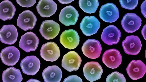 Exploring the role of nutrition and antioxidants