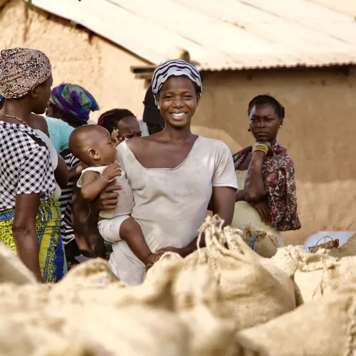 From rocket stoves to regenerative farming: Real stories of sustainability