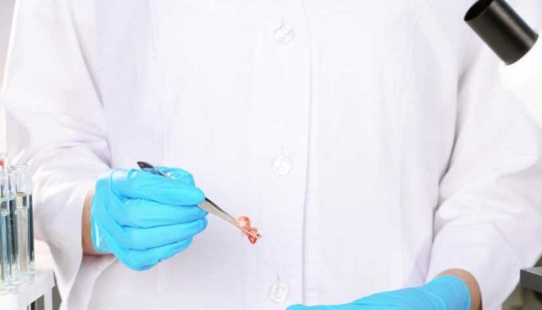 From lab-grown meat to food waste apps: Meet the innovators redefining food